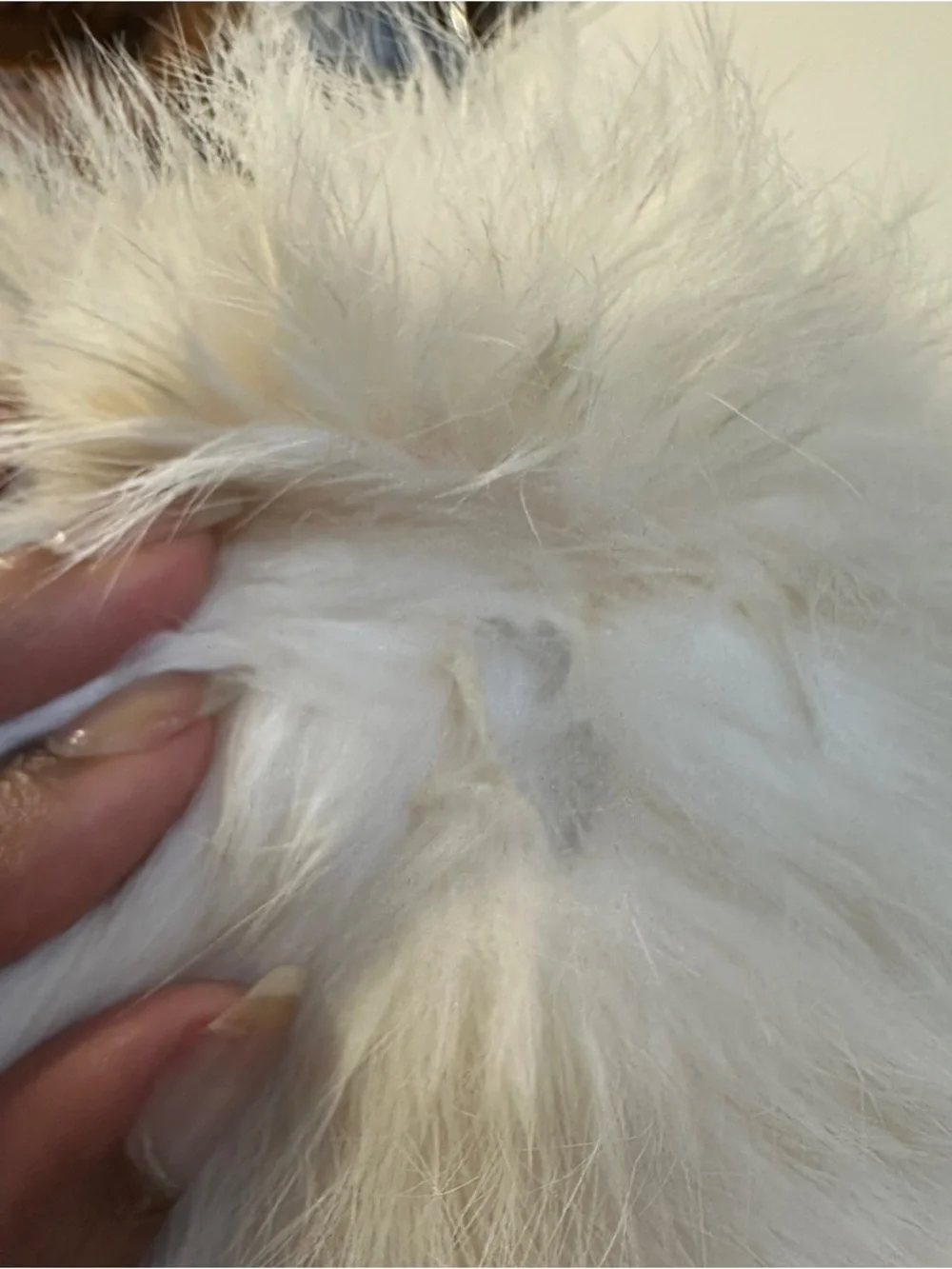 Vintage Rabbit Fur Coat - Picture 4 of 7